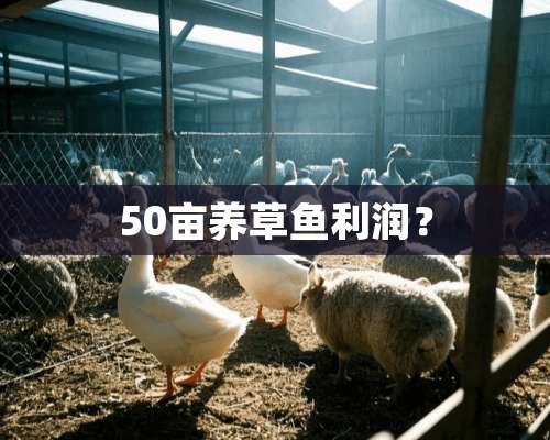 50亩养草鱼利润？