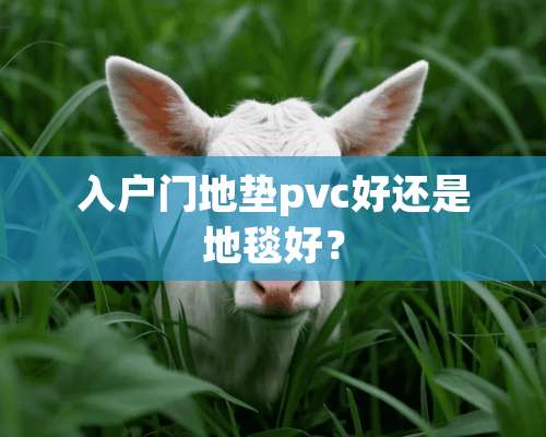 入户门地垫pvc好还是地毯好？