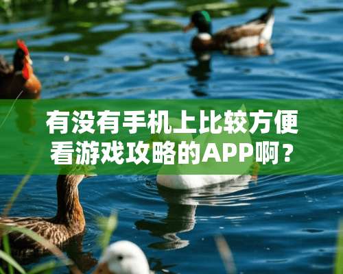 有没有手机上比较方便看游戏攻略的APP啊？