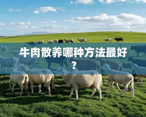 牛肉散养哪种方法最好？