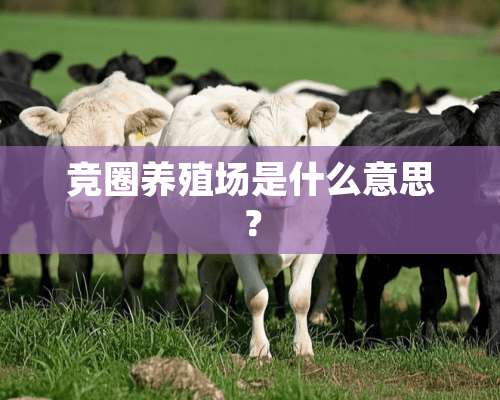 竞圈养殖场是什么意思？