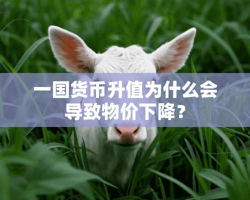 一国货币升值为什么会导致物价下降？