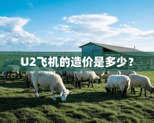 U2飞机的造价是多少？