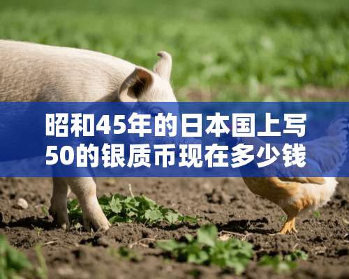 昭和45年的日本国上写50的银质币现在多少钱？