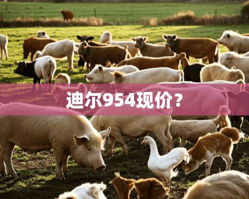 迪尔954现价？