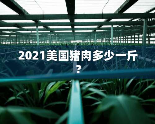 2021美国猪肉多少一斤？