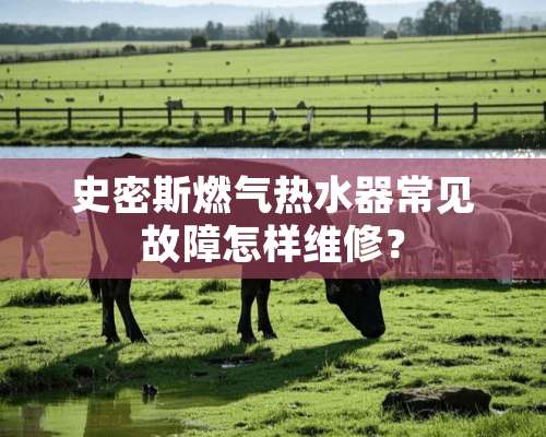 史密斯燃气热水器常见故障怎样维修？