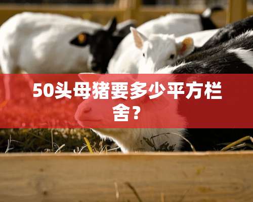 50头母猪要多少平方栏舍？