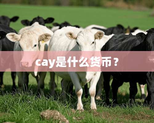 cay是什么货币？