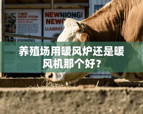 养殖场用暖风炉还是暖风机那个好？