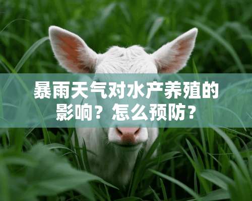 暴雨天气对水产养殖的影响？怎么预防？