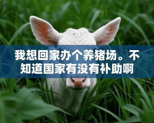 我想回家办个养猪场。不知道国家有没有补助啊？