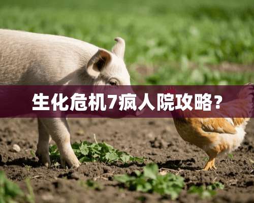 生化危机7疯人院攻略？