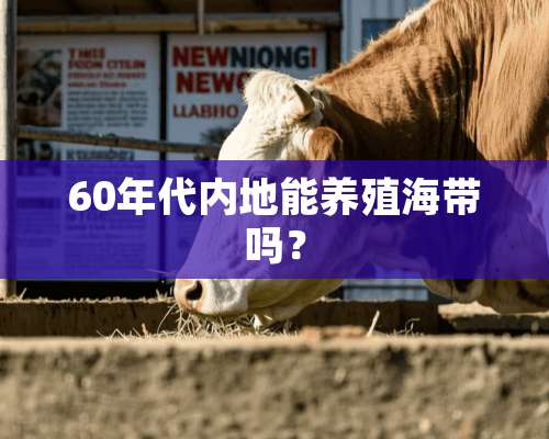 60年代内地能养殖海带吗？