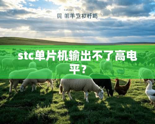 stc单片机输出不了高电平？