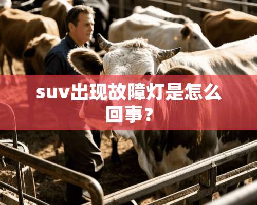 suv出现故障灯是怎么回事？