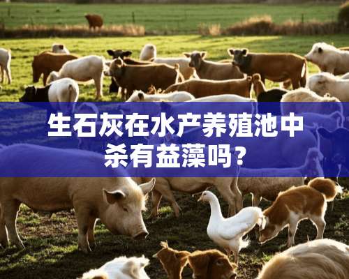 生石灰在水产养殖池中杀有益藻吗？