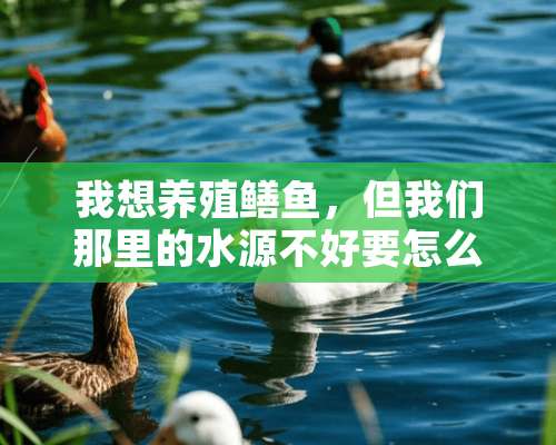 我想养殖鳝鱼，但我们那里的水源不好要怎么养殖呢？井水能否养殖？