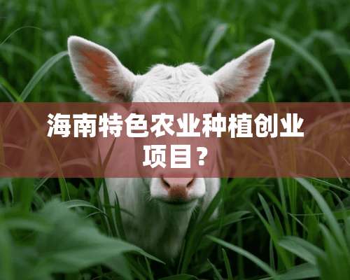 海南特色农业种植创业项目？