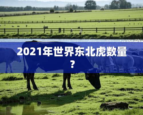 2021年世界东北虎数量？