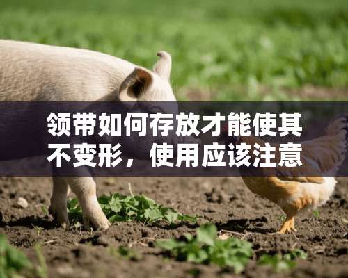 领带如何存放才能使其不变形，使用应该注意那些事项？