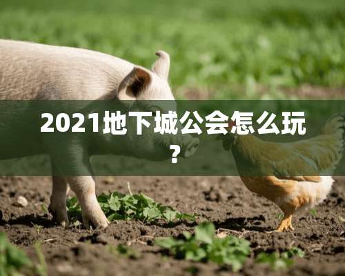 2021**城公会怎么玩？