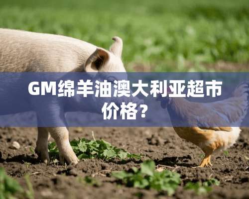 GM绵羊油澳大利亚超市价格？