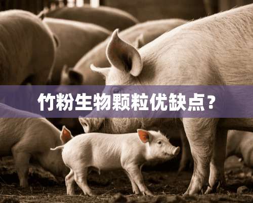 竹粉生物颗粒优缺点？