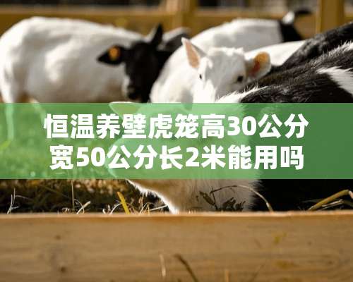 恒温养壁虎笼高30公分宽50公分长2米能用吗？