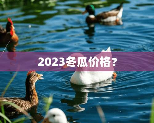 2023冬瓜价格？