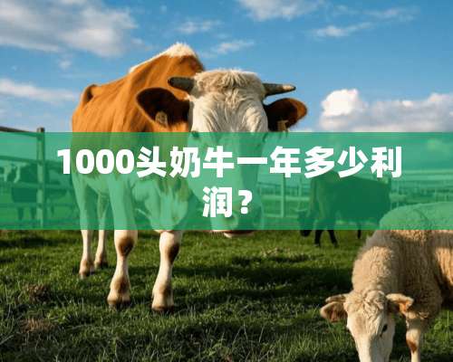 1000头奶牛一年多少利润？