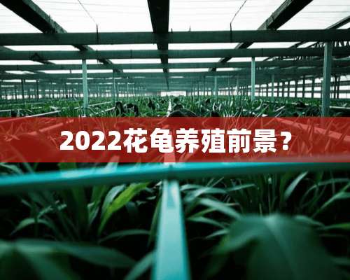 2022花龟养殖前景？