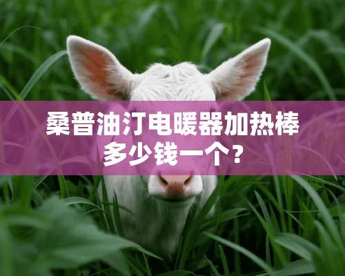 桑普油汀电暖器加热棒多少钱一个？