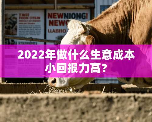 2022年做什么生意成本小回报力高？