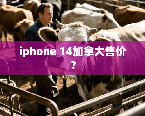 iphone 14加拿大售价？