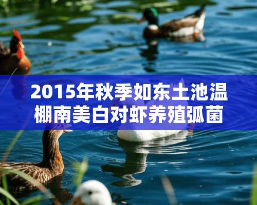 2015年秋季如东土池温棚南美白对虾养殖弧菌情况