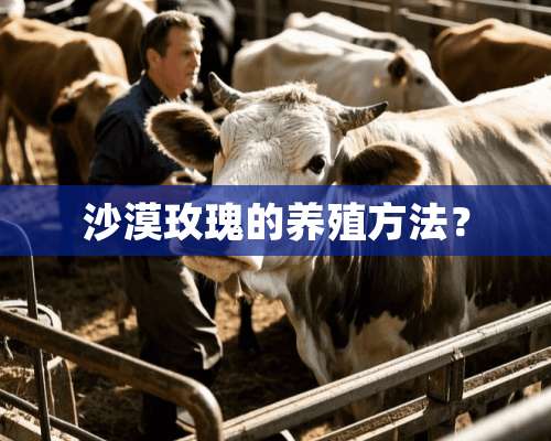 沙漠玫瑰的养殖方法？