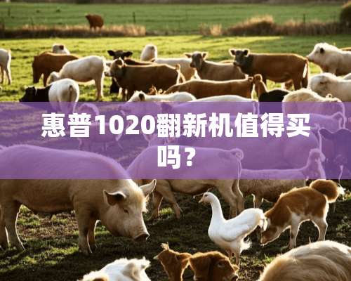 惠普1020翻新机值得买吗？