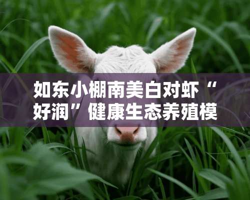 如东小棚南美白对虾“好润”健康生态养殖模式