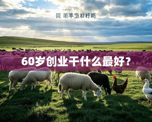 60岁创业干什么最好？