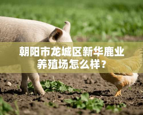 朝阳市龙城区新华鹿业养殖场怎么样？