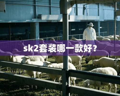 sk2套装哪一款好？