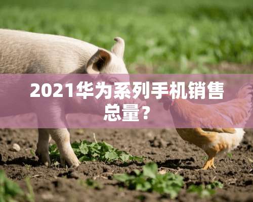 2021华为系列手机销售总量？