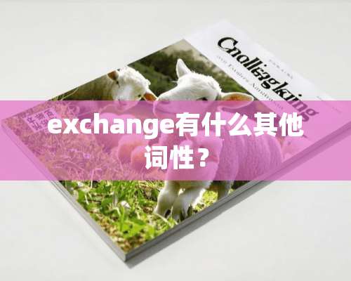 exchange有什么其他词性？