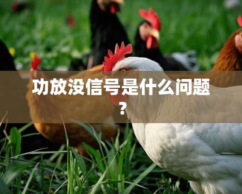 功放没信号是什么问题？