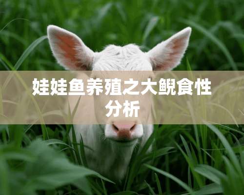 娃娃鱼养殖之大鲵食性分析