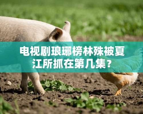 电视剧琅琊榜林殊被夏江所抓在第几集？