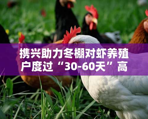 携兴助力冬棚对虾养殖户度过“30-60天”高危期