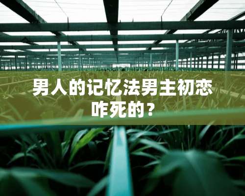 男人的记忆法男主初恋咋死的？