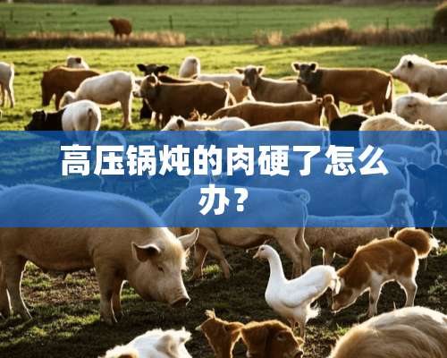 高压锅炖的肉硬了怎么办？